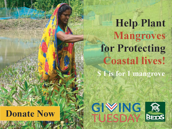 Help plant Mangroves for protecting coastal lives !